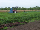 16 juni 2015 Uitje afdeling Nieuwleusen Bezoek aan De Zonnehorst